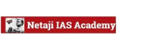 Netaji IAS Academy Chennai Logo